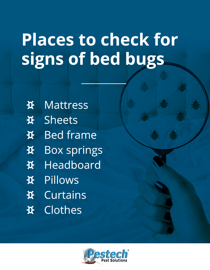 Where to Check for Bed Bugs