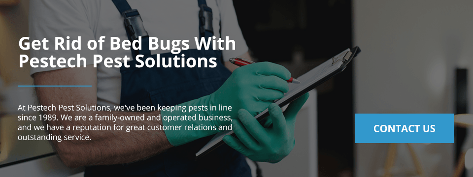 Contact Pestech Bed Bugs