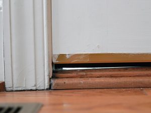 Pest Entry Points: Door Gaps