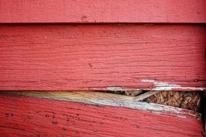 Pest Entry Points: Siding