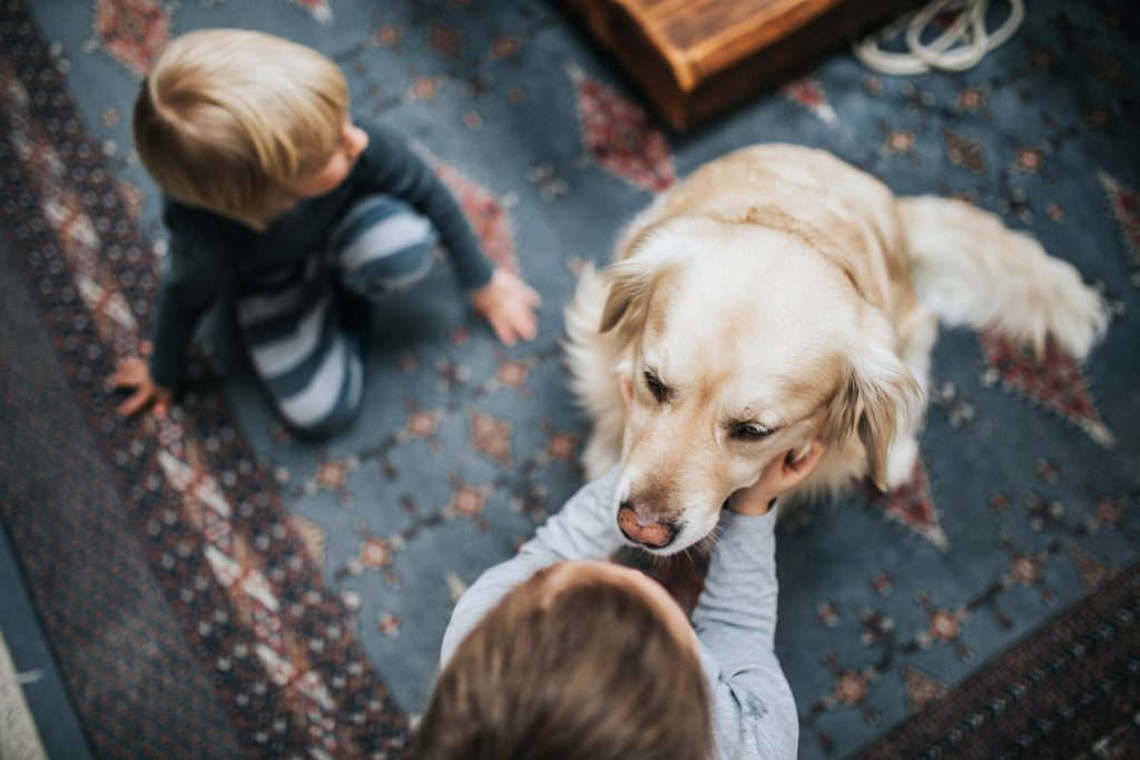 Above view of small kids enjoying with their dog at home.