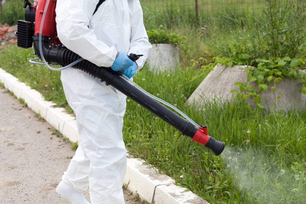 Yard Pest Control