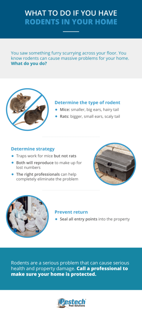 Integrated Pest Management: Do I have Mice? What Do I Do?