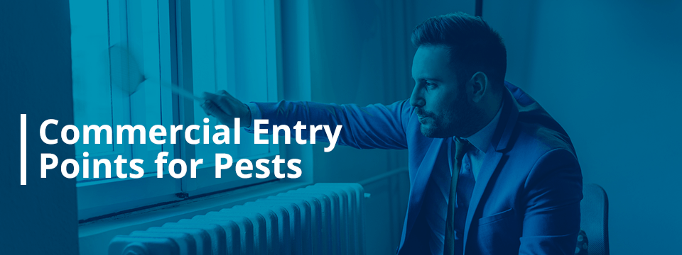 commercial entry points for pests