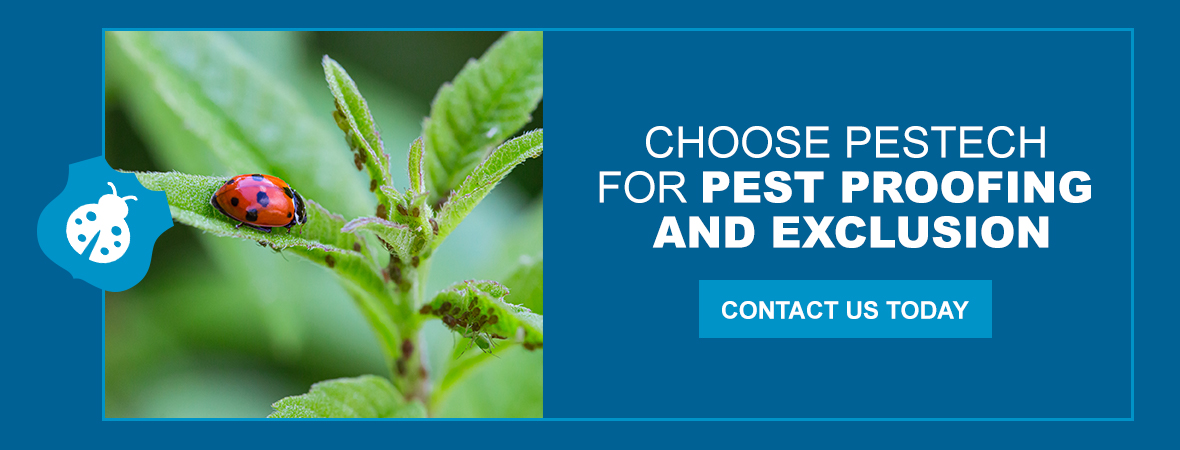 Choose Pestech for Pest Proofing and Exclusion