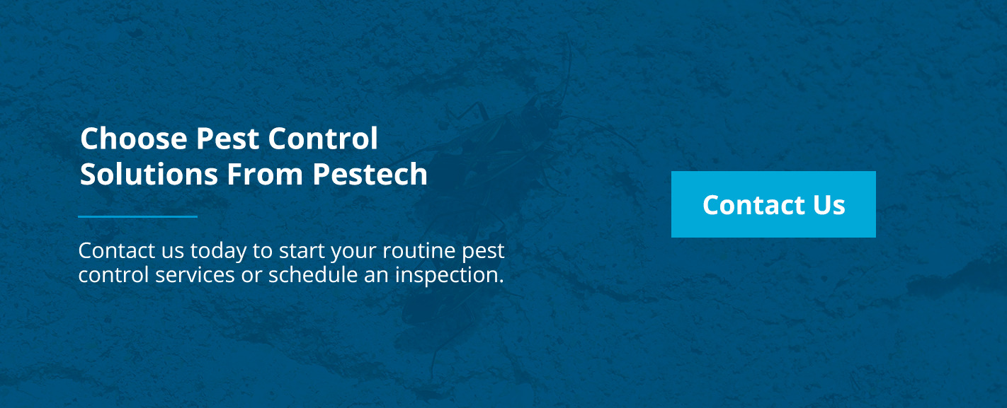 Choose Hospital Pest Control Solutions From Pestech