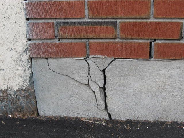 Foundation Crack Entry Point for Pests