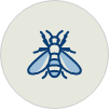 Wasp Icon