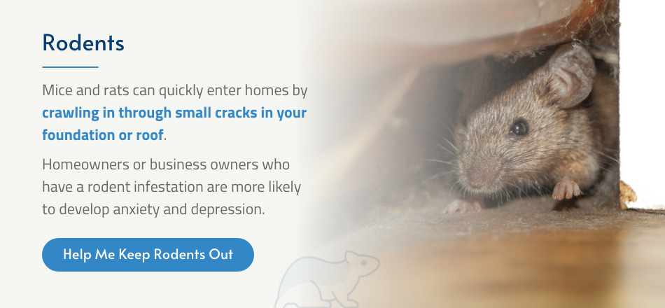 Emotional effects of rodents