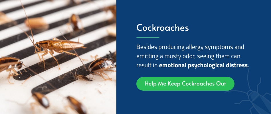 emotional effects of cockroaches