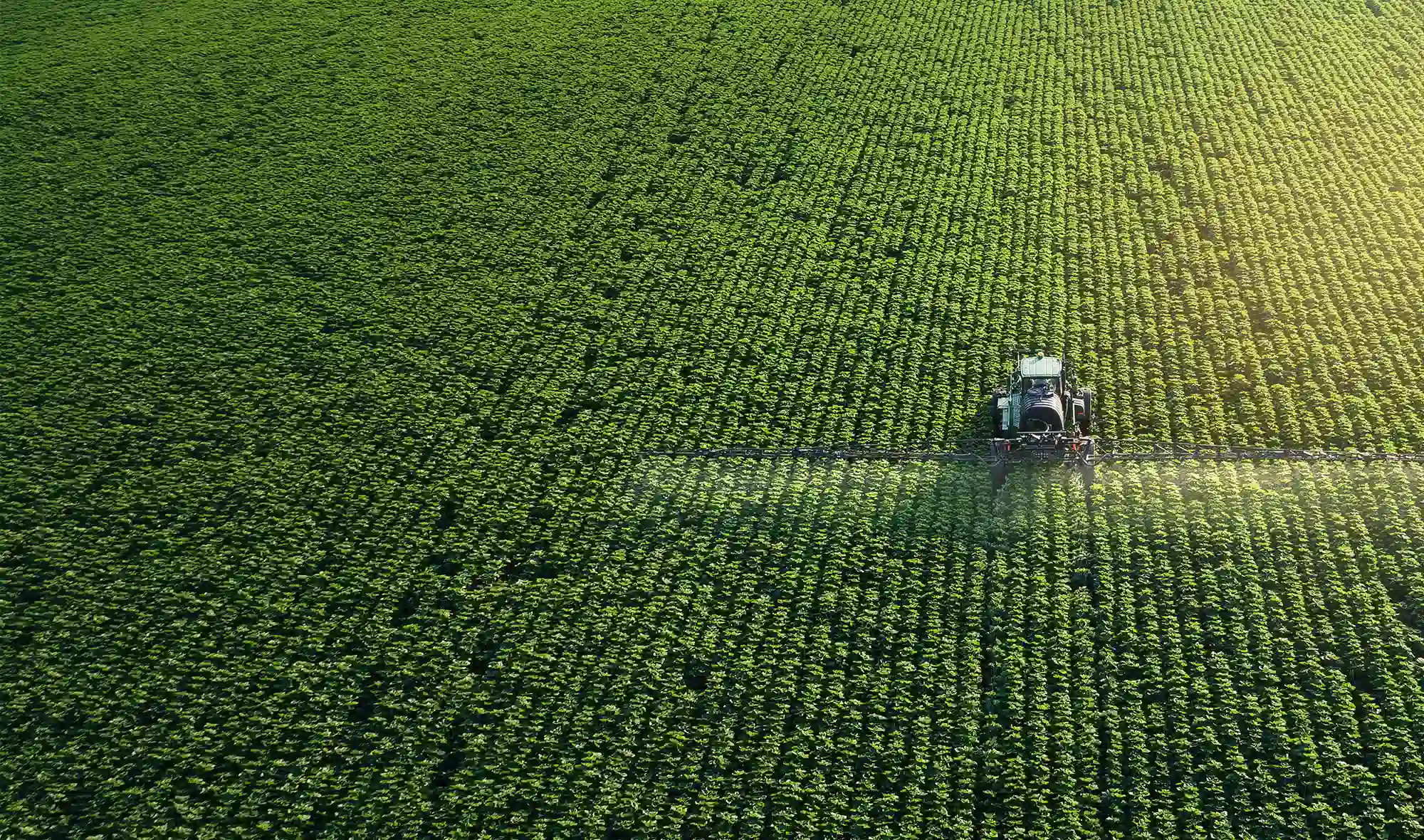 Sky view of a tractor working on the crops at a farm