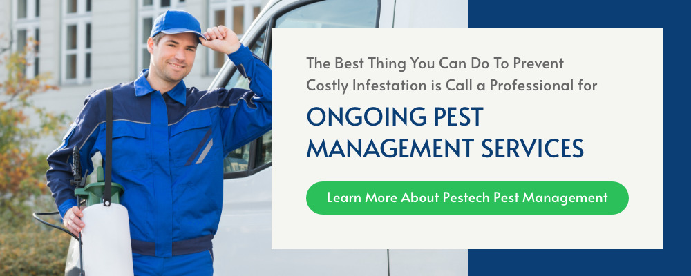 Ongoing Pest Management Services