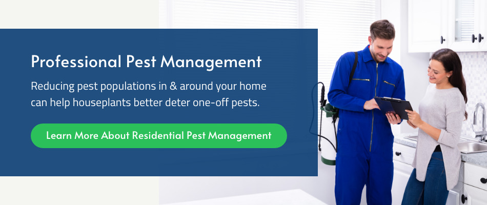 Professional Pest Management